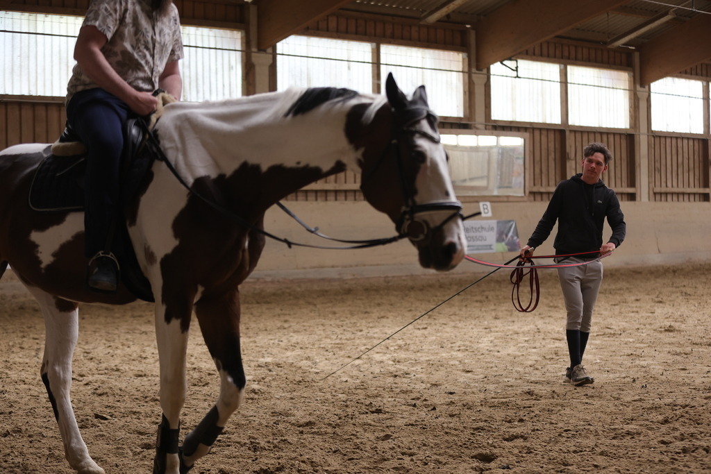 0P6A9082 | Willkommen bei Brunnmayr - Design & Fotografie – Ihrem Spezialisten für Reitturniere und Pferdeveranstaltungen in Oberösterreich, Salzburg und Bayern! Seit über 17 Jahren sind wir leidenschaftlich dabei.