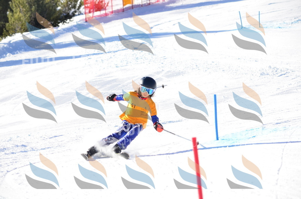 C5799 | holidayphoto