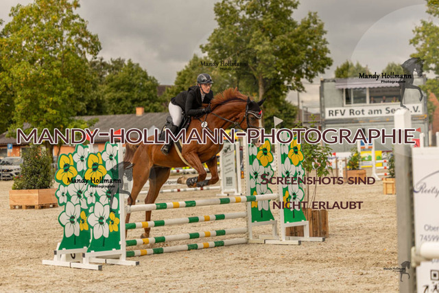 26-7-23 Einlaufprüfung-86 | mandyhollmannphotographie