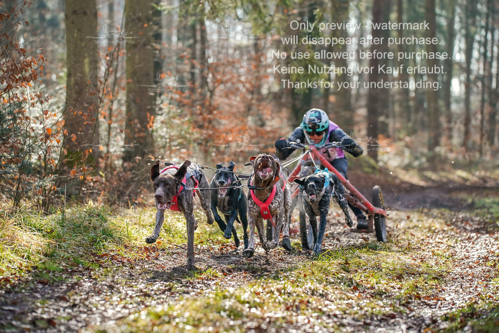 So2_Gespanne-5 | stephaniefillaphotographie - Realisiert mit Pictrs.com