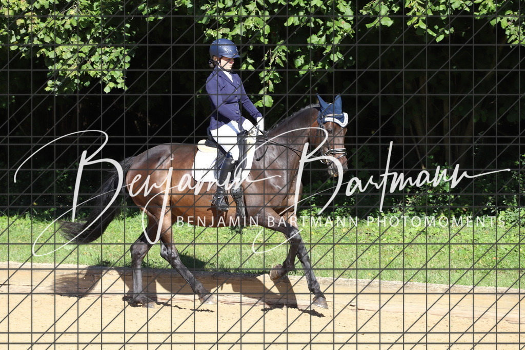 IMG_5365 | Benjamin Bartmann Photomoments