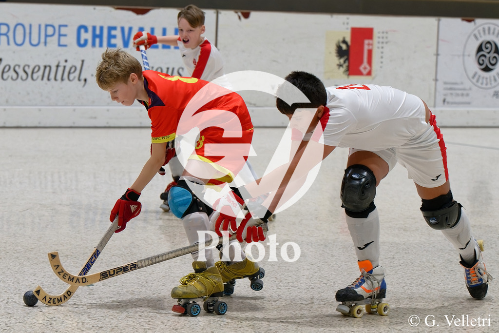 DSC_2113 | Velletri Photo