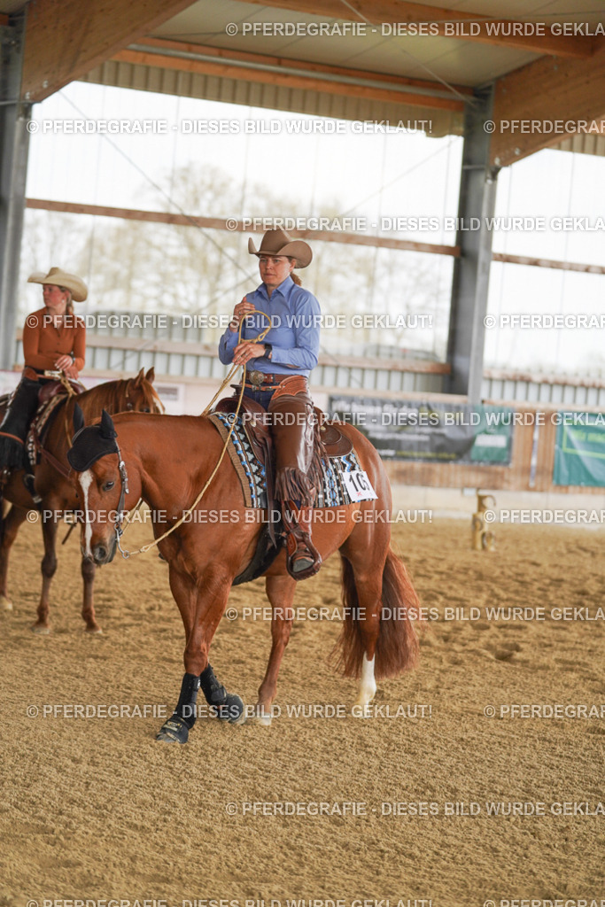 DSC03292 | Pferdegrafie