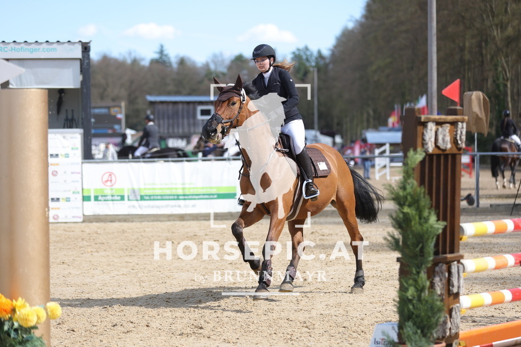 0P6A9399 | Willkommen bei Brunnmayr - Design & Fotografie – Ihrem Spezialisten für Reitturniere und Pferdeveranstaltungen in Oberösterreich, Salzburg und Bayern! Seit über 17 Jahren sind wir leidenschaftlich dabei.