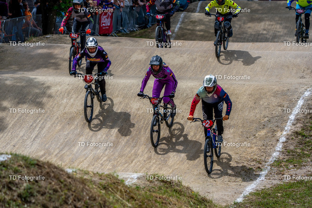 BayBMX2026-05794 | Fotogalerie von Thomas Dettweiler mit Eventbildern und lizenzfreien Fotos. Perfekt als Wandbild, für Büro, Website oder private Nutzung. - Realisiert mit Pictrs.com