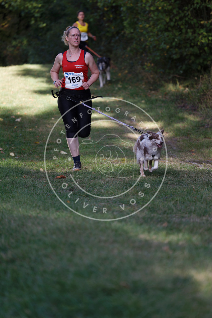 0L8A5295 | Hundefotografie, Tierfotograf, Pfotenfotografie, Fotoshooting Hund, Hunde Portrait, Hundesport, Hundeportraits, Heideshooting, Hunde, Sportfotograf, Hundefotograf, Turnierhundsport, THS,  - Realisiert mit Pictrs.com