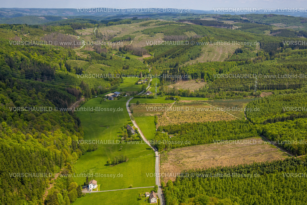 Sundern230504806 | Luftbild, Waldgebiet mit Waldschäden, In der Flamke, Sundern, Sauerland, Nordrhein-Westfalen, Deutschland