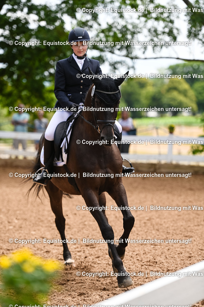 20230716_03_Dressurprfg. Kl.L - Tr._0359 | equistock