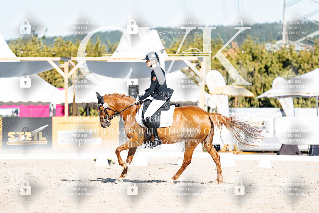 CK907820 | Turnierfotografie Pferdefotografie Trier Rheinland-Pfalz Pferdesport Reitsport Tierfotografie Sportfotografie Pferdevideo Pferdevideografie Equestrianvideography equestrianphotography  - Realisiert mit Pictrs.com