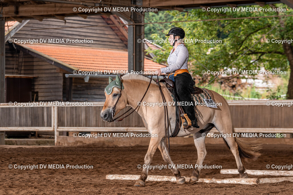 Erbach Tag 2-419 | dv-media-shop - Realisiert mit Pictrs.com