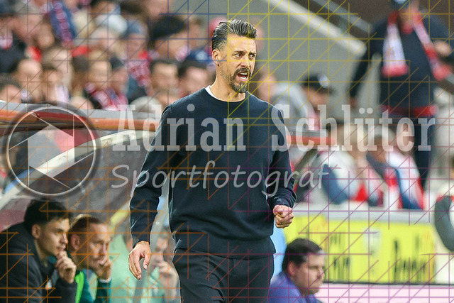 1. FC Köln vs FC Augsburg - 1. Bundesliga  | Köln, Deutschland, 18.10.25:   Trainer Sandro Wagner schaut waehrend des Spiels der 1. Bundesliga zwischen  1. FC Köln vs FC Augsburg im RheinEnergieStadion(Foto von Brauer-Fotoagentur / Adrian Schlueter)