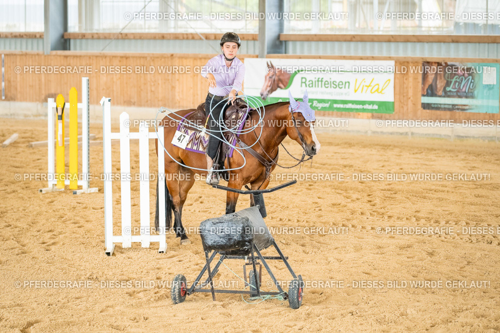 DSC07155 | Pferdegrafie