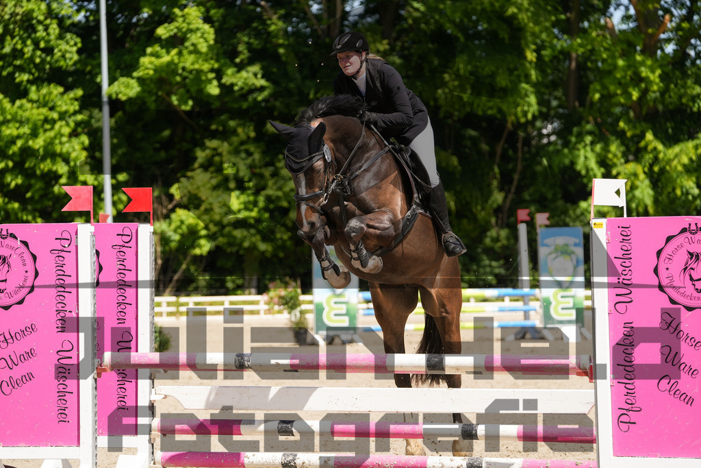 DSC02249 | Julian Held Fotografie - Realisiert mit Pictrs.com