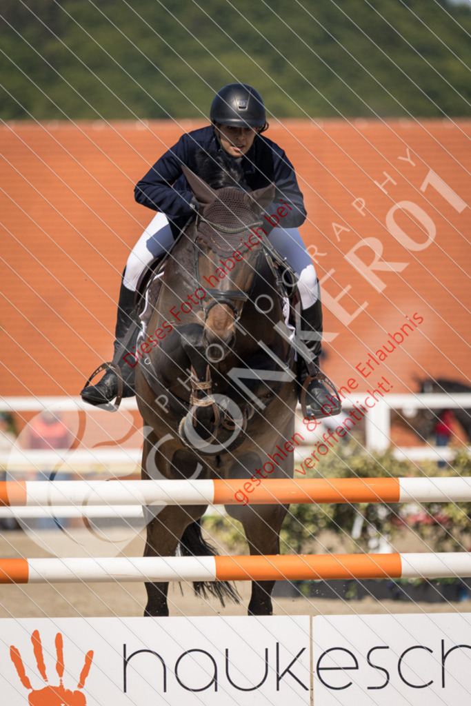 IMG_4123 | Sport-, Event- und Tierfotos in Profiqualität. Einfach auswählen, bestellen und herunterladen. Dein Moment – perfekt festgehalten.