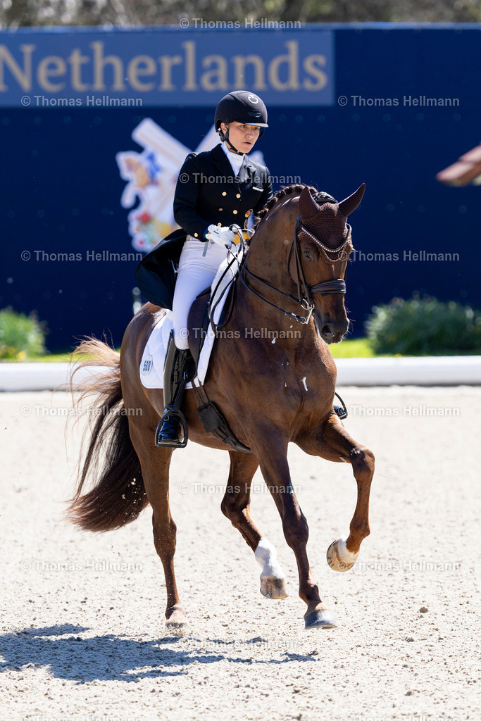 TH_580 Life Time FRH_ Schürmann_ Charlott-Maria_27881 | Horses &amp; Dreams meets the Netherlands 2025 am 27.04.25 in Hagen a.T.W., 580 Life Time FRH, Schürmann, Charlott-Maria