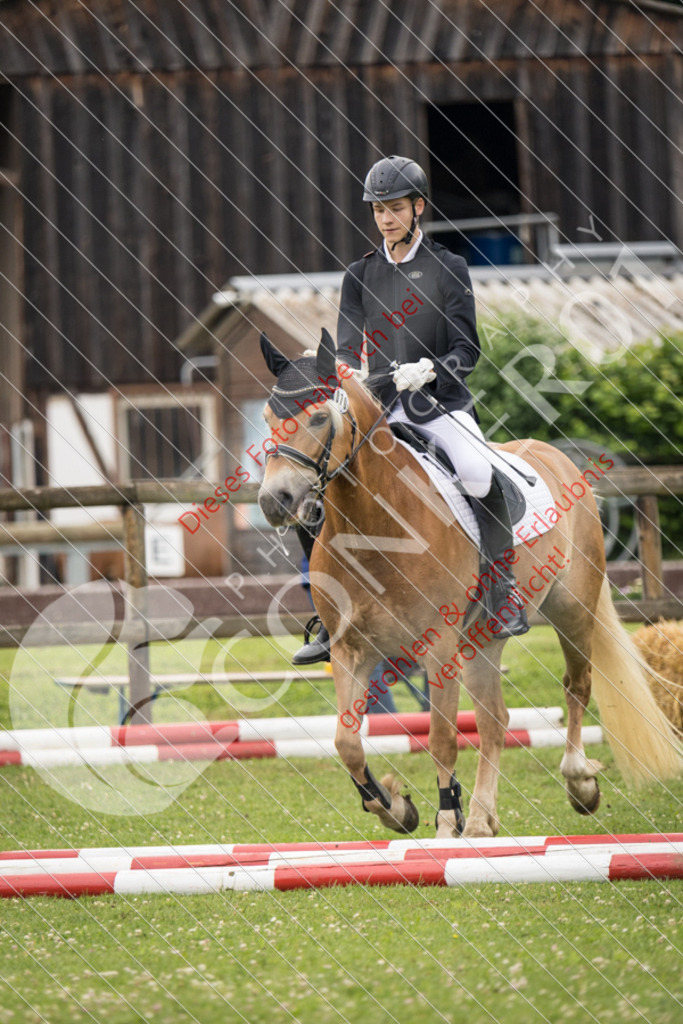 IMG_2388 | Sport-, Event- und Tierfotos in Profiqualität. Einfach auswählen, bestellen und herunterladen. Dein Moment – perfekt festgehalten.