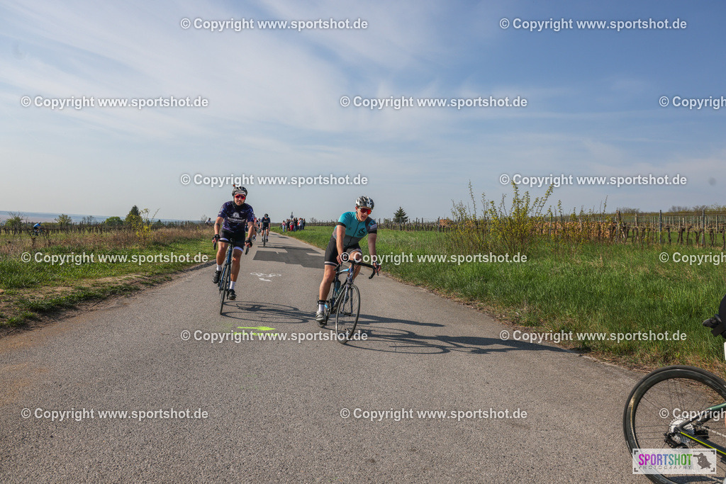 007A9026 | Neusiedlersee Radmarathon #neusiedlerseeradmarathon #neusiedlersee #nrm26 #yourpictrs #sportshot_your_pictrs