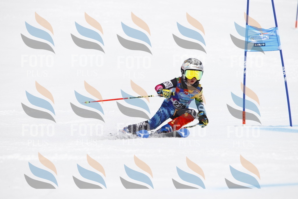 _U3G5781 | holidayphoto