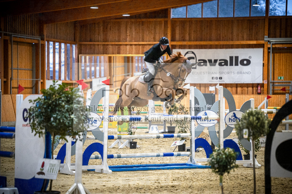 DOS_2556 | Entdecke hochwertige Reitturnierfotos von Foto Oger. Professionell, emotional und authentisch – jetzt Lieblingsmomente im Shop bestellen.Deutschlandweite Turnierfotografie. - Realisiert mit Pictrs.com