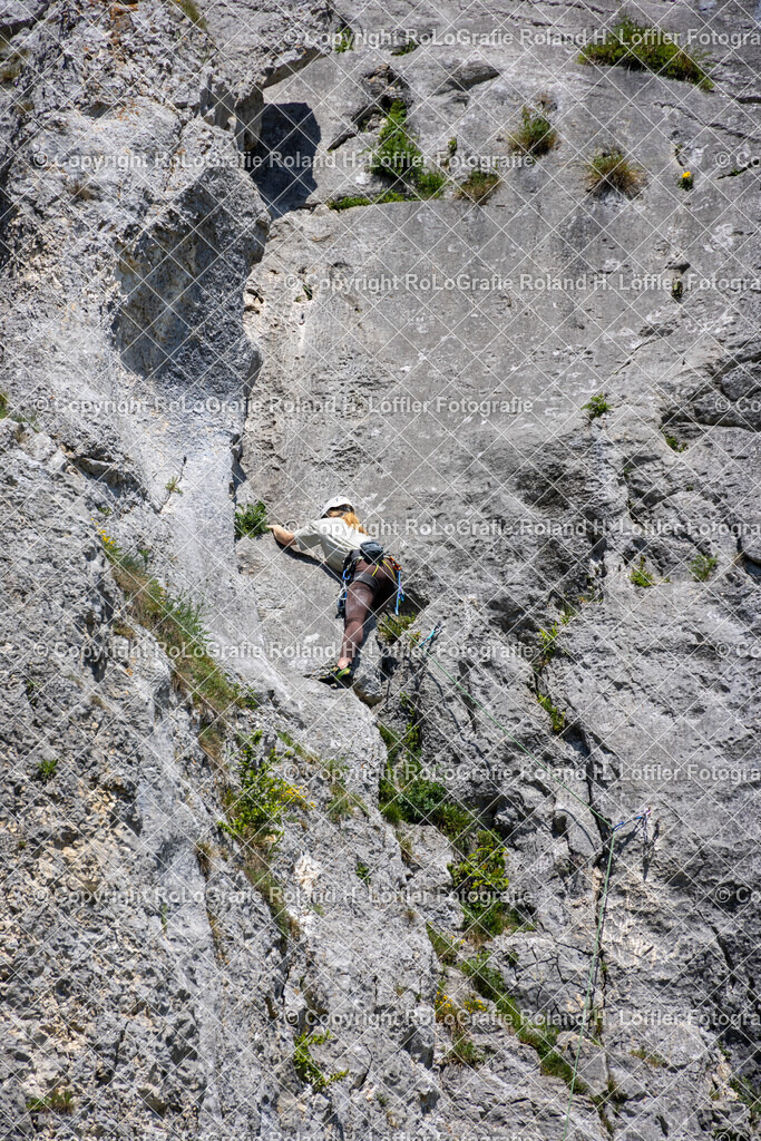 20240511_Fototag-Donautal-44 | IPTC Infos - Realisiert mit Pictrs.com