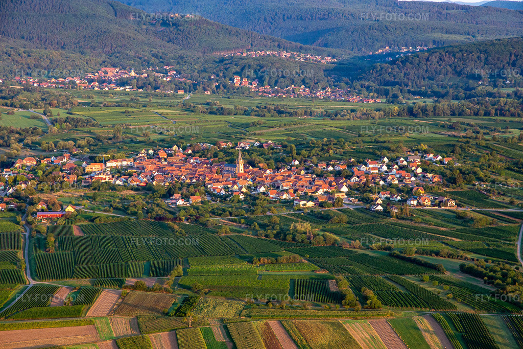 Aerial view: View of the town from the east in Bernardswiller in the state Bas-Rhin, France. – Photo: IMG_137959.jpg taken on 08/19/2023 by Werner Riehm/FLY-FOTO.com – Resolution of the original: 5383 x 3589 px