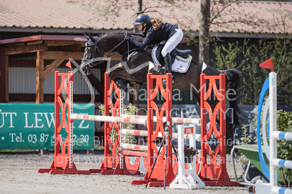 230411_Mühlen_03SprPf-L-305 | Deine schönsten Turniermomente als professionelle Fotos! Entdecke hochwertige Pferdesport-Fotografie im Online-Shop. Jetzt Fotos finden & bestellen!