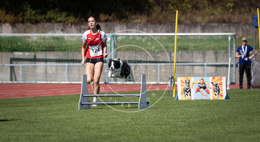 Pfotenfotografie_DV3A8570 | Hundefotografie, Tierfotograf, Pfotenfotografie, Fotoshooting Hund, Hunde Portrait, Hundesport, Hundeportraits, Heideshooting, Hunde, Sportfotograf, Hundefotograf, Turnierhundsport, THS,  - Realisiert mit Pictrs.com