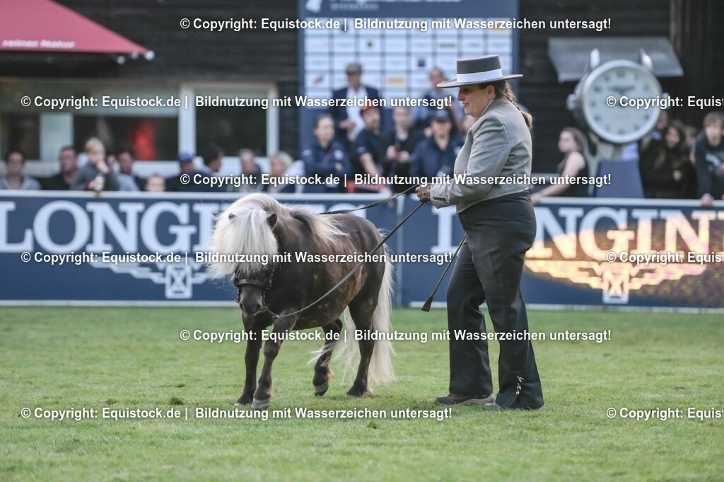 20230526_Pferdenacht_0766 | equistock