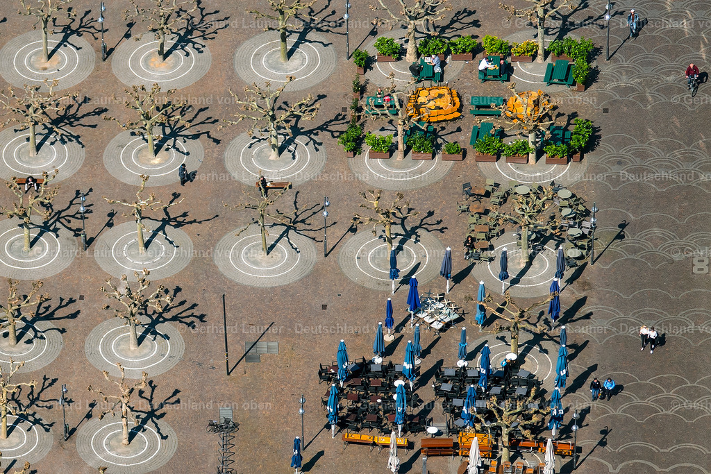 4020137A | Baumstrukturen auf dem Paulsplatz, Frankfurt am Main