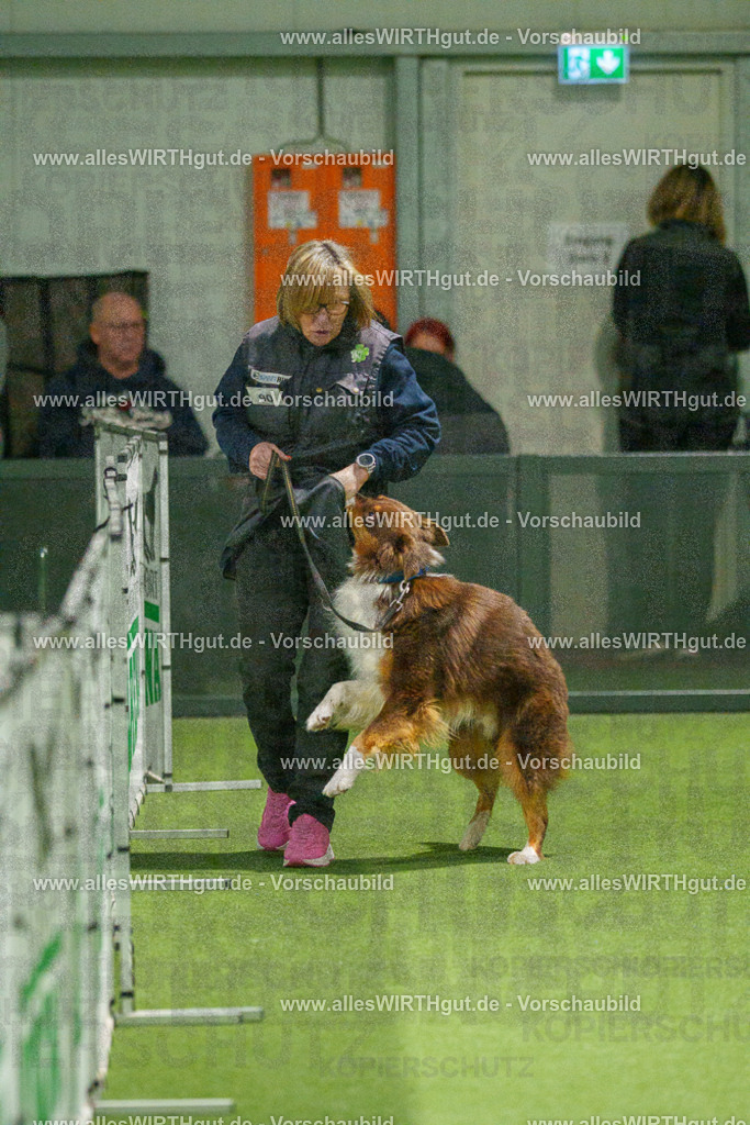 7R508676 | Professionelle Tierfotografie in Mönchengladbach von Daniel Wirth (allesWIRTHgut). Liebevolle & natürliche Bilder von Hunden & Katzen für unvergessliche Erinnerungen.