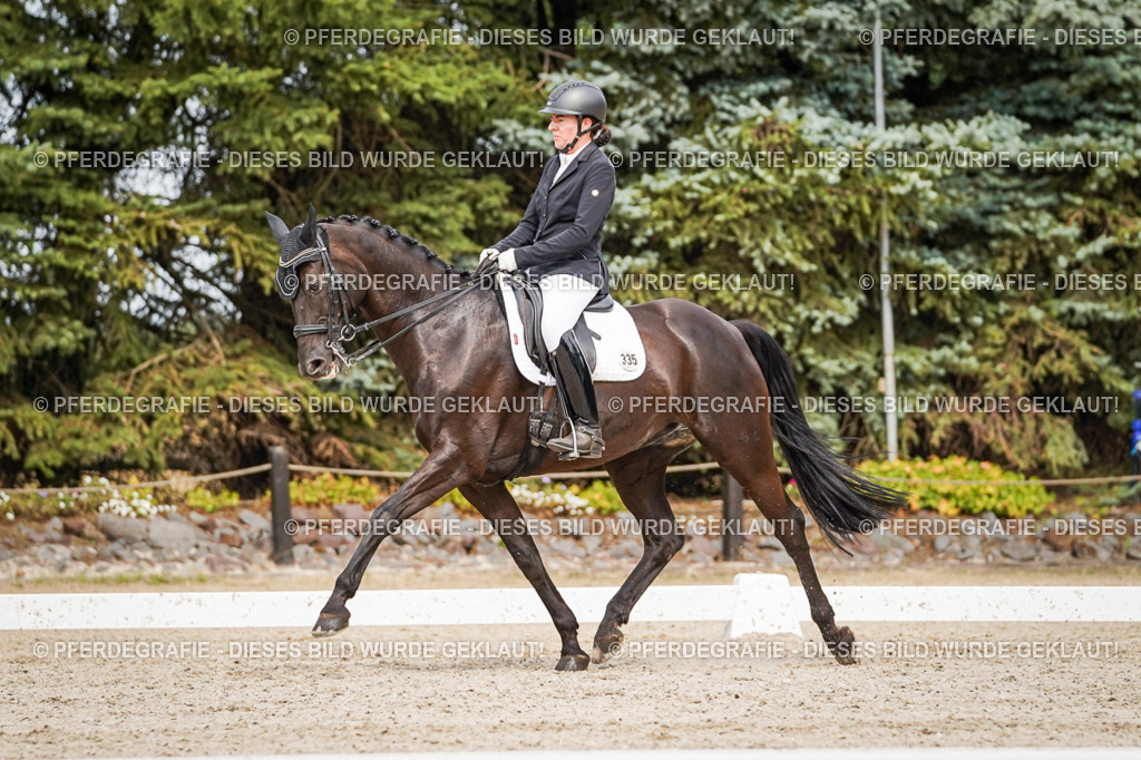 DSC06869 | Pferdegrafie