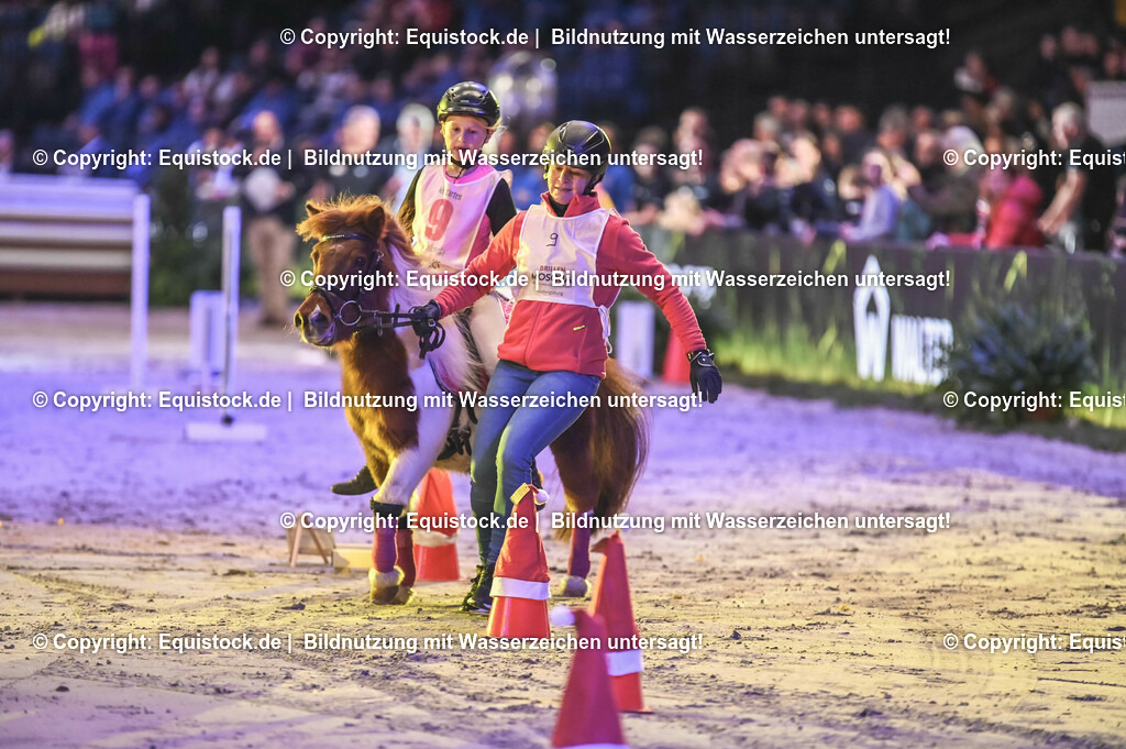 20231115_Dog-Agility_0149_TOMsPiC | Foto: Thomas Hartig