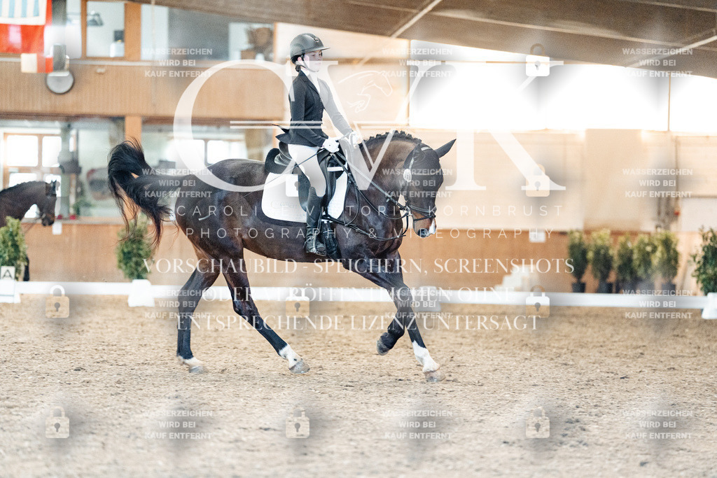 CK907188 | Turnierfotografie Pferdefotografie Trier Rheinland-Pfalz Pferdesport Reitsport Tierfotografie Sportfotografie Pferdevideo Pferdevideografie Equestrianvideography equestrianphotography  - Realisiert mit Pictrs.com