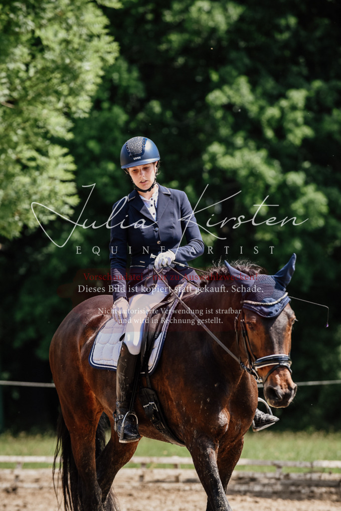 DSC_1523 | Pferde- und Turnierfotografie in Westsachsen. Pferdeportraits, Auftragszeichnungen und intuitive Kunst.