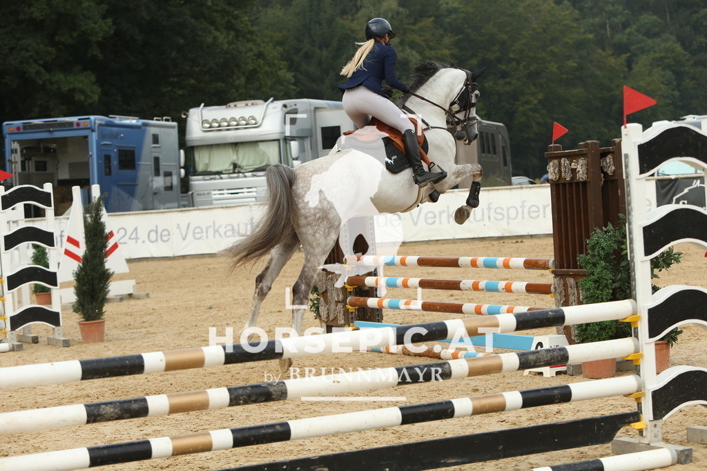 DL2Q6362 | Willkommen bei Brunnmayr - Design & Fotografie – Ihrem Spezialisten für Reitturniere und Pferdeveranstaltungen in Oberösterreich, Salzburg und Bayern! Seit über 17 Jahren sind wir leidenschaftlich dabei.