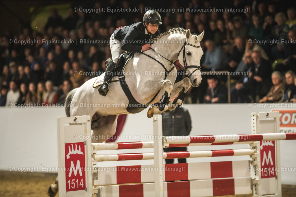 20240302_Hengstvorstellung_Marbach_TOMsPiC_1405 | equistock