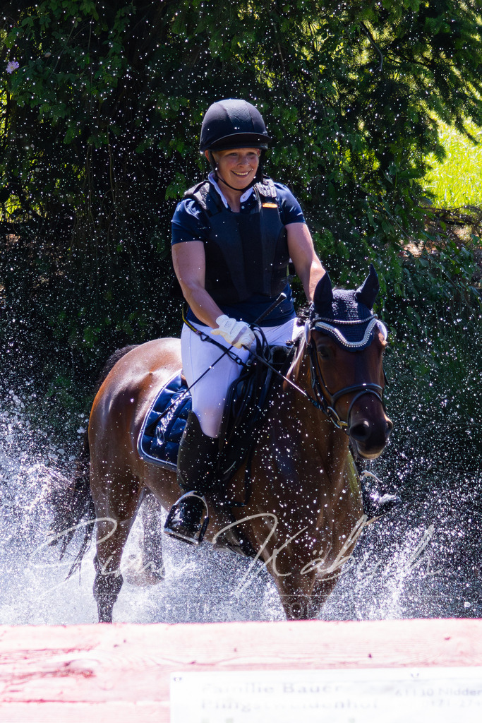 MBFotografie (45) | Tierfotografie Pferde, Hunde, Katzen, Haustiere.
Turnierfotografie Reitturniere, Reiten, Springreiten, Dressur in Hanau, dem Main-Kinzig-Kreis und dem Rhein-Main- Gebiet um Frankfurt