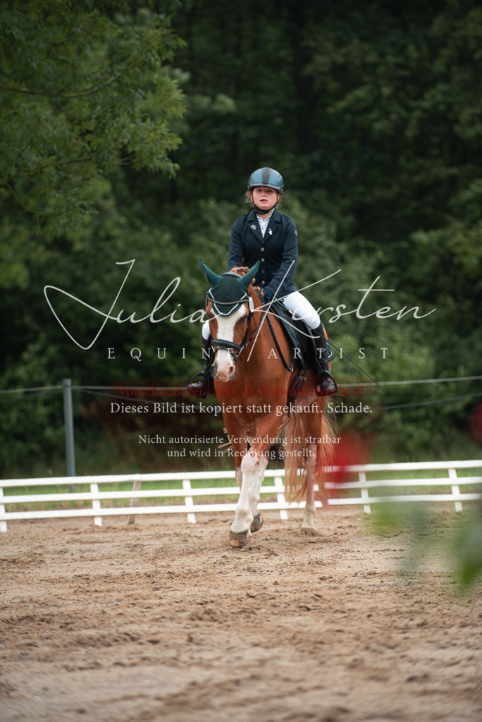 DSC_9633 | Pferde- und Turnierfotografie in Westsachsen. Pferdeportraits, Auftragszeichnungen und intuitive Kunst.