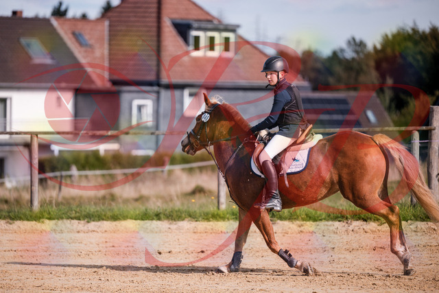 2026_10_03_Siefer-Hof_144716_Z81_24194496 | Professionelle Reitsport-, Turnier- und Eventfotografie von Robert Broda. Galerien mit ausgewählten und bearbeiteten Bildern direkt online ansehen und bestellen.