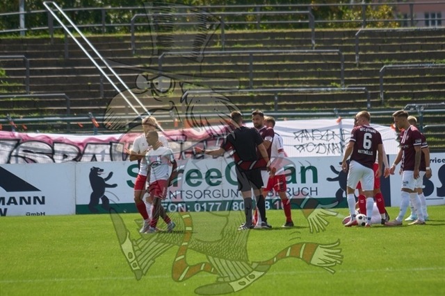 BFC Dynamo vs. ZFC Meuselwitz 091 | mythos-online-redaktion