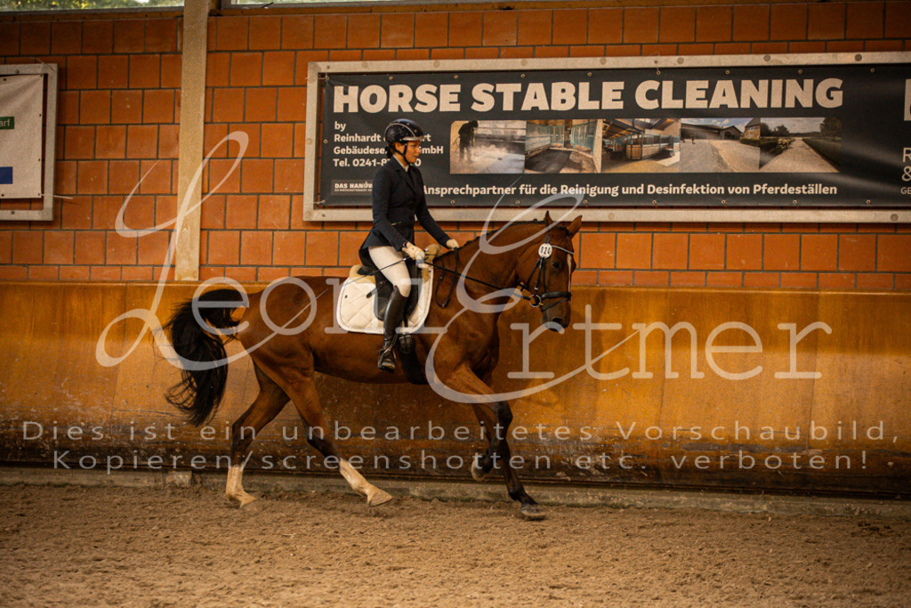 2Reiten00354 | Leoni Ertmer Photography - Realisiert mit Pictrs.com