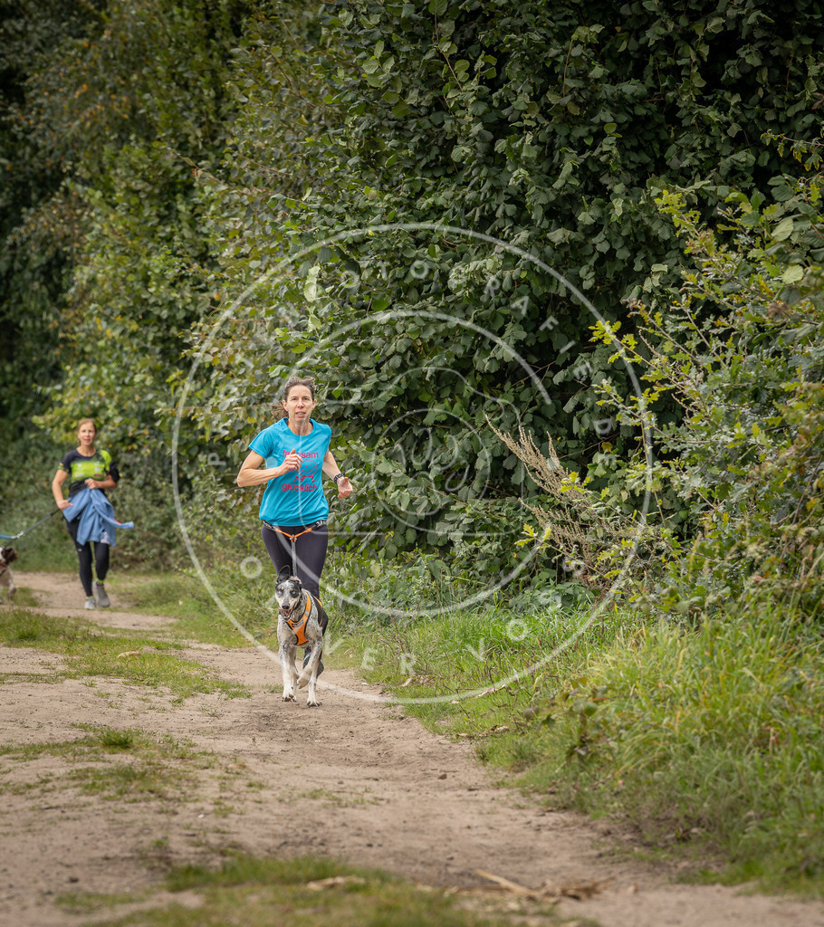 Pfotenfotografie_DV3A7825 | Hundefotografie, Tierfotograf, Pfotenfotografie, Fotoshooting Hund, Hunde Portrait, Hundesport, Hundeportraits, Heideshooting, Hunde, Sportfotograf, Hundefotograf, Turnierhundsport, THS,  - Realisiert mit Pictrs.com