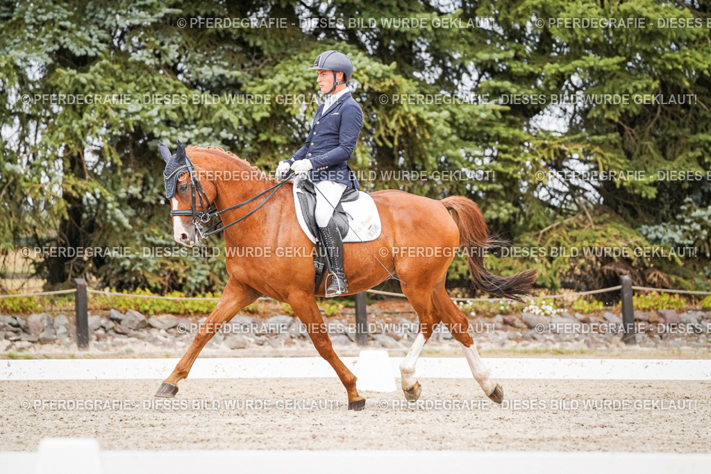 DSC06990 | Pferdegrafie