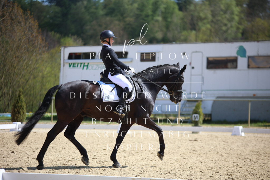 IMGT7117 | pl-fotografie