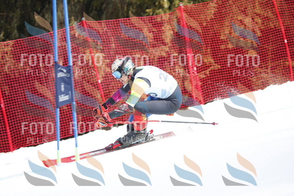 D8424 | holidayphoto