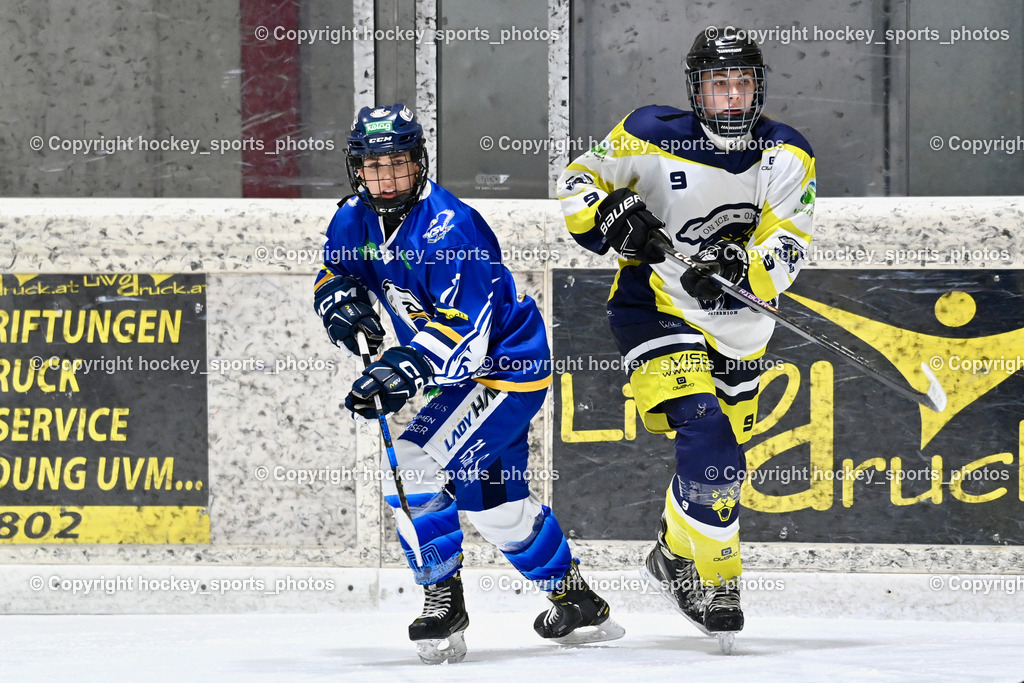 Wildcats Paternion vs. Lady Hawks  | #9 Neumann Magdalena WILDCATS PATERNION, #77 Lang Chiara LADY HAWKS, Wildcats Paternion vs. Lady Hawks , Wildcats Paternion vs. Lady Hawks  am 27.01.2025 in Spittal an der Drau (Eissportzentrum Spittal), Austria, (Photo by Bernd Stefan)