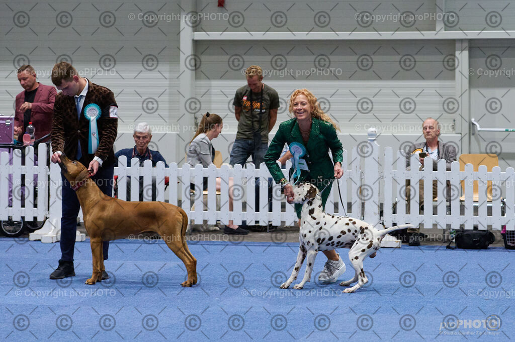 202406_ÖKV-IHA-Tulln24_DSC_3102 | proPHOTO - Realisiert mit Pictrs.com