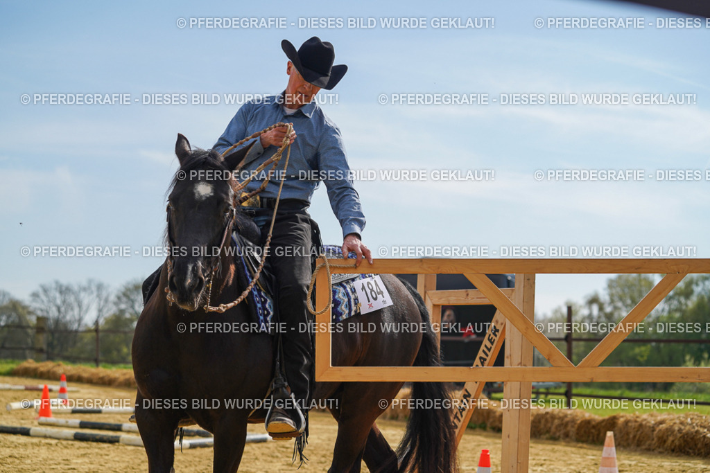 DSC02006 | Pferdegrafie