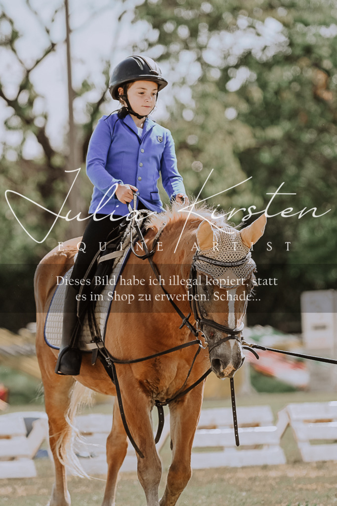 DSC_7511 | Pferde- und Turnierfotografie in Westsachsen. Pferdeportraits, Auftragszeichnungen und intuitive Kunst.
