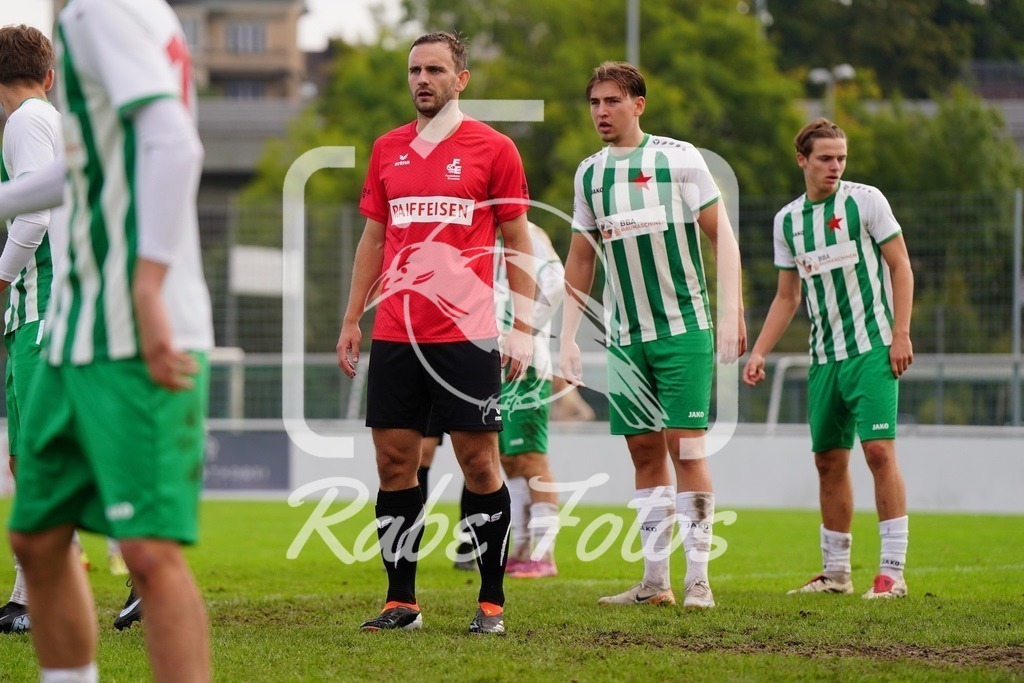 SON04851 | rabefotos